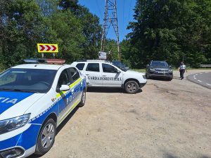 Controalele continuă pe Transfăgărășan! Alți 4 turiști au fost amendați pentru hrănirea urșilor 1 524890953 679300908490363 5912325848890471803 n - Controalele continuă pe Transfăgărășan! Alți 4 turiști au fost amendați pentru hrănirea urșilor