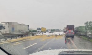 b23e1d21 498c 4d47 8002 63a5fb0bd0ec - Trafic îngreunat pe A1! Saci cu cereale căzuți dintr-un camion