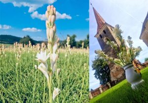 Sursă foto: FB Ministerul Agriculturii și Dezvoltării Rurale.