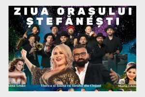 ziua orasului Stefanesti
