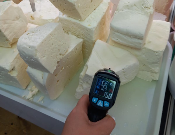 524950159_1210089884484942_2751516461958275043_n