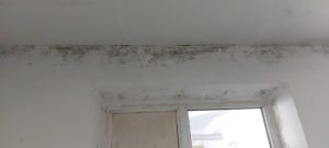 525689539 1085778280328340 4287935820143355646 n - Brutărie din sudul județului, închisă temporar de DSVSA Argeș