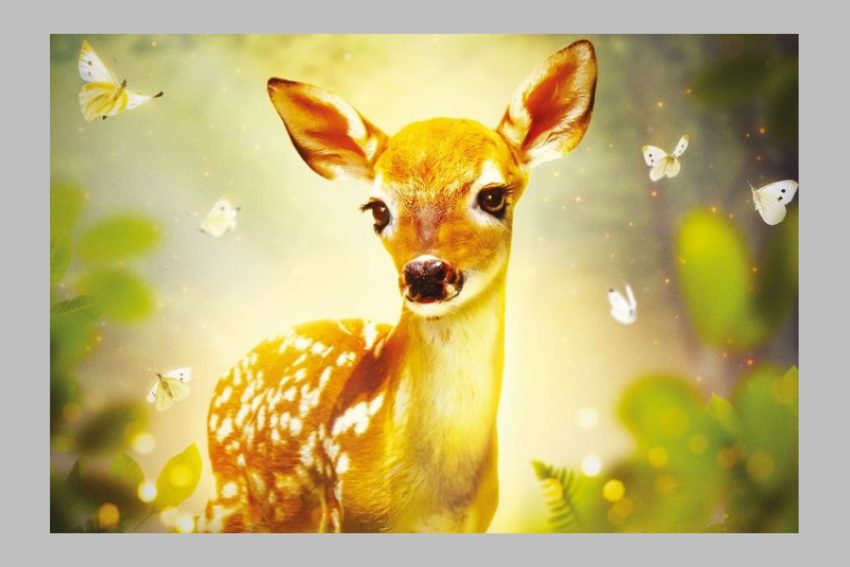 film Bambi la Pitesti film Bambi la Pitesti