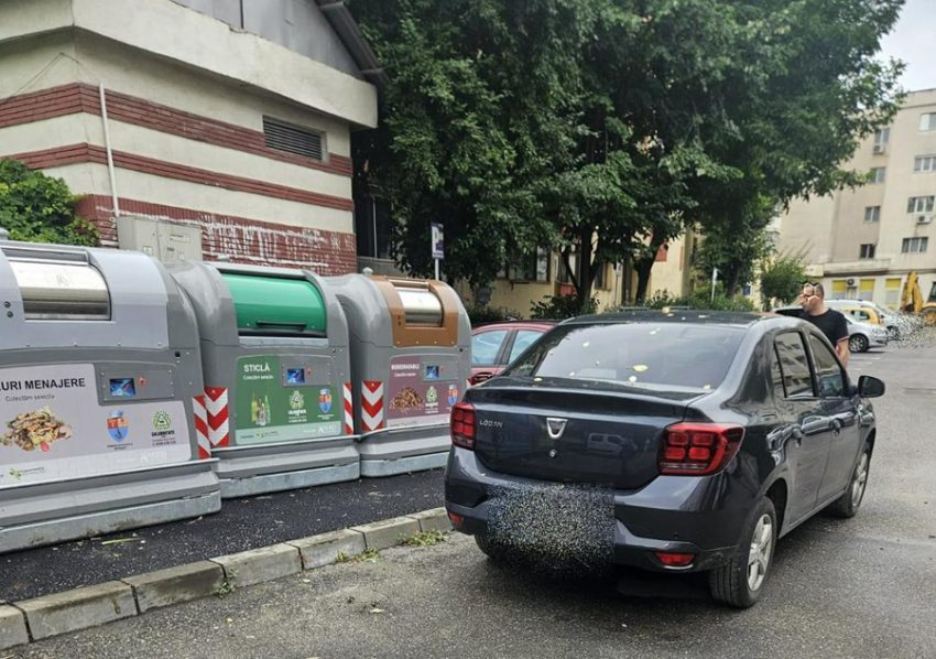 blocare tomberon 1 Sursă foto: FB Primaria Municipiului Pitesti.