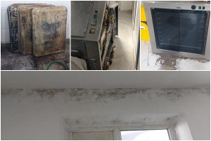 page - Brutărie din sudul județului, închisă temporar de DSVSA Argeș