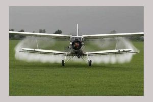 dezinsectie la Bradu