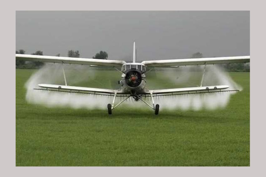 dezinsectie la Bradu dezinsectie la Bradu