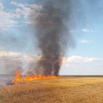 d07958e6 56a1 414a 9664 de59274032e3 - Val de incendii în Argeș, în weekend