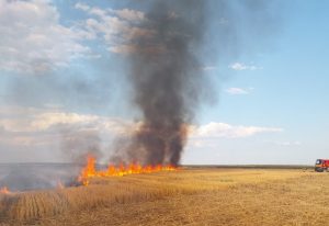 d07958e6 56a1 414a 9664 de59274032e3 - Val de incendii în Argeș, în weekend