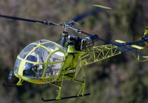 Sursă foto: pexels.com.