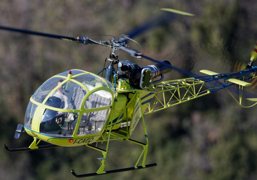 Sursă foto: pexels.com.