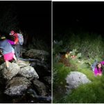 page - Intervenție nocturnă a salvamontiștilor argeșeni! Doi tineri, fugăriți de urs