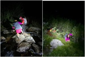 page - Intervenție nocturnă a salvamontiștilor argeșeni! Doi tineri, fugăriți de urs