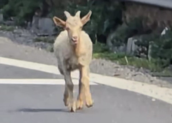 29a13e5a-5b04-4281-96de-5deaf3feed34