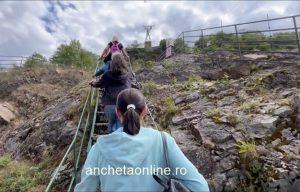 cats - (VIDEO) Omul de Fier a primit primii vizitatori