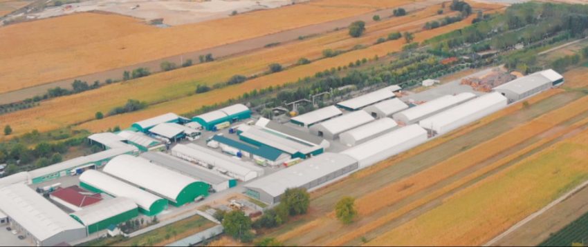 PENTAROM – liderul ambalajelor inteligente fabricate în Argeș 1 Pentarom01 - PENTAROM – liderul ambalajelor inteligente fabricate în Argeș