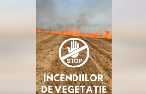 Peste 8.200 de incendii de vegetație în România, în prima jumătate a anului 1 cats - Peste 8.200 de incendii de vegetație în România, în prima jumătate a anului