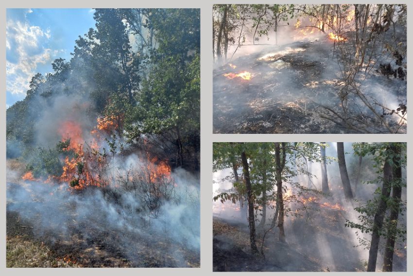 incendiu vegetatie Argeș incendiu vegetatie Argeș