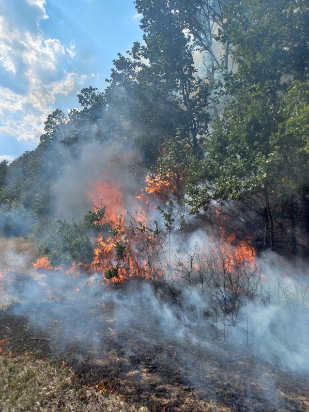 Alte incendii în Argeș! Vegetație uscată, mărăciniș și 9.000 mp litieră de pădure mistuite de flăcări 1 incendiu vegetatie Argeș