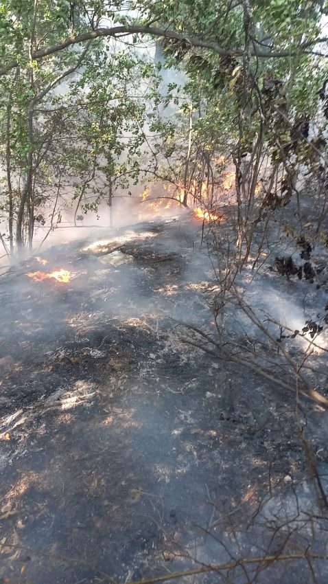 Alte incendii în Argeș! Vegetație uscată, mărăciniș și 9.000 mp litieră de pădure mistuite de flăcări 3 incendiu vegetatie Argeș