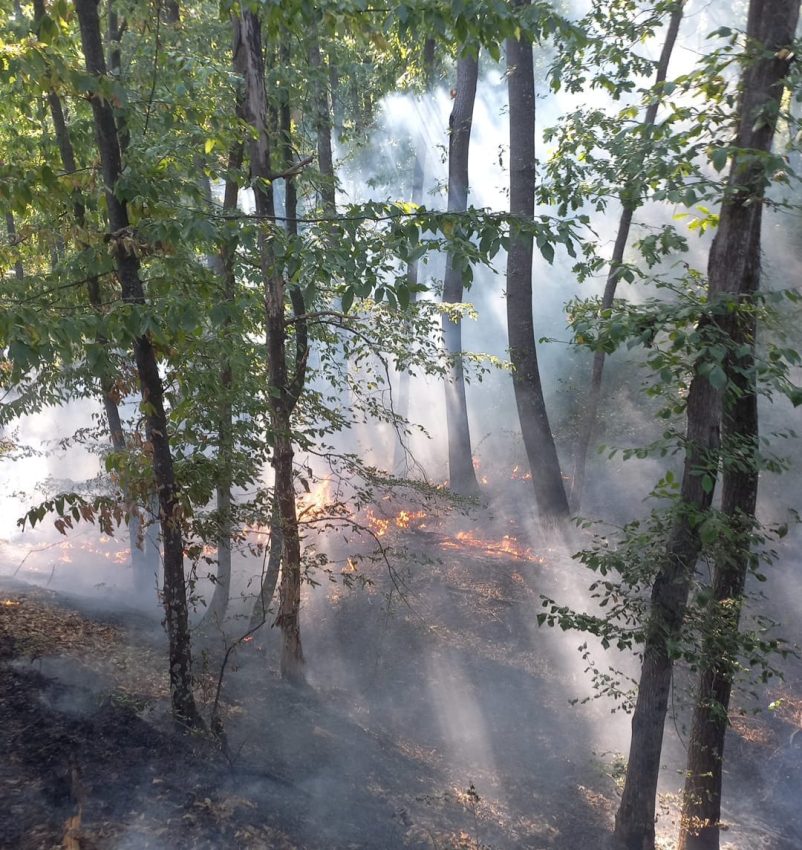 Alte incendii în Argeș! Vegetație uscată, mărăciniș și 9.000 mp litieră de pădure mistuite de flăcări 2 incendiu vegetatie Argeș