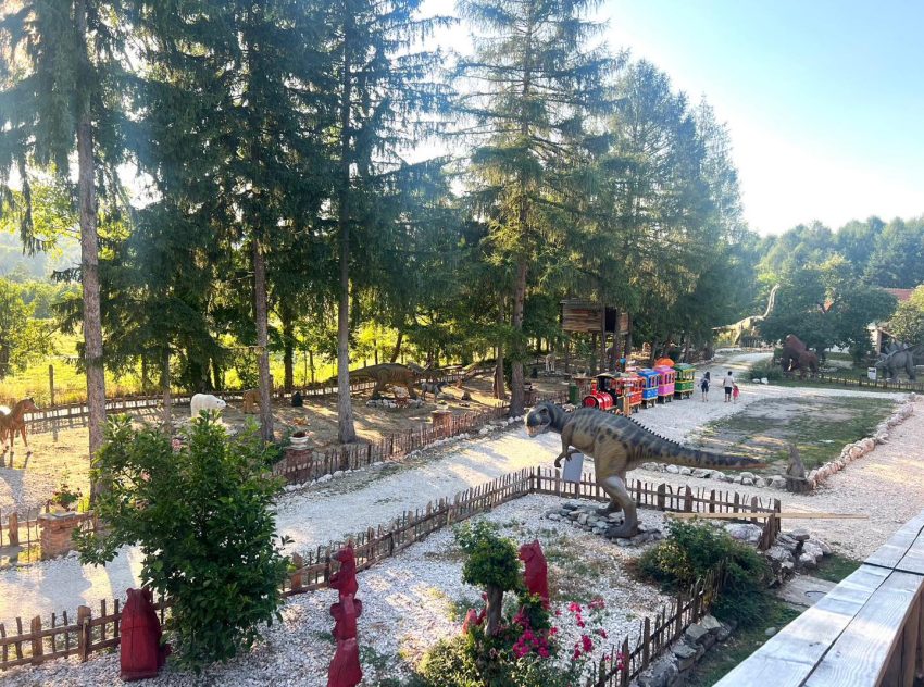 Arca lui Noe – un colț de rai în inima naturii, dedicat familiilor, copiilor și iubitorilor de aventură! 4 Arca lui Noe Arges