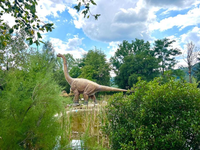 Arca lui Noe – un colț de rai în inima naturii, dedicat familiilor, copiilor și iubitorilor de aventură! 6 Arca lui Noe Arges