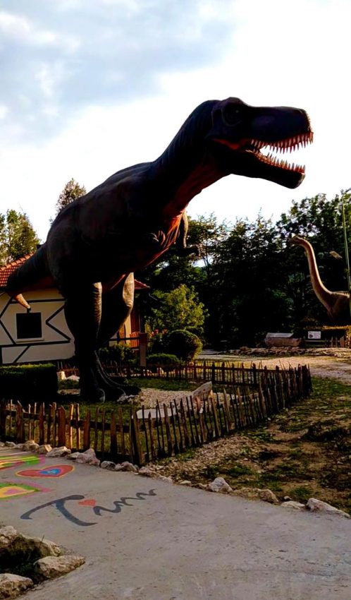 Arca lui Noe – un colț de rai în inima naturii, dedicat familiilor, copiilor și iubitorilor de aventură! 12 Arca lui Noe Arges