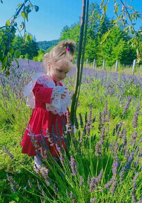 Arca lui Noe – un colț de rai în inima naturii, dedicat familiilor, copiilor și iubitorilor de aventură! 10 Arca lui Noe Arges