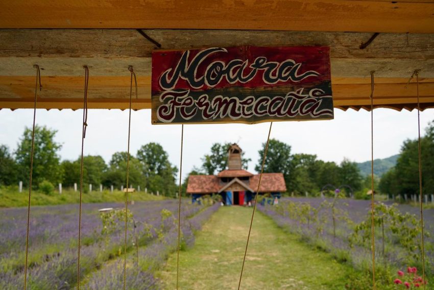 Arca lui Noe – un colț de rai în inima naturii, dedicat familiilor, copiilor și iubitorilor de aventură! 2 Arca lui Noe Arges