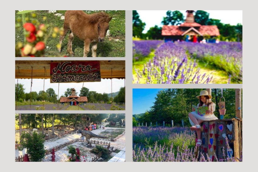 Untitled Project (10)