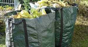 Deșeurile vegetale din zona Târg Săptămânal nu se vor colecta pe 15 august 1 2222 - Deșeurile vegetale din zona Târg Săptămânal nu se vor colecta pe 15 august