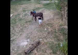 Cruzime și violență sub Podul Viilor. Aceste imagini au îngrozit comunitatea 1 Sursă foto: screenshote FB Kola Kariola