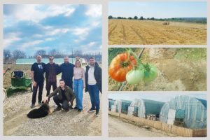 Penitenciarul Colibași zbârnâie de producția agricolă: în 2025, poate reuși să vândă și către populație! 1 Penitenciarul Colibași
