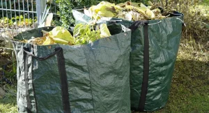 deseuri-vegetale-1068x580