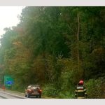 Accident grav pe Autostrada A1 București-Pitești. Pietoni răniți! 10 accident A1