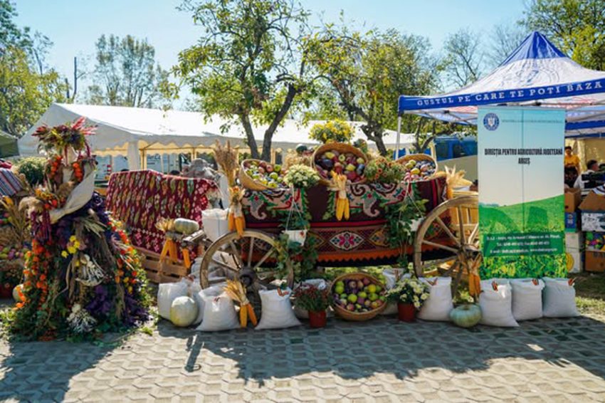 targul rod cu spor 1 Sursă foto: FB CJ ARges