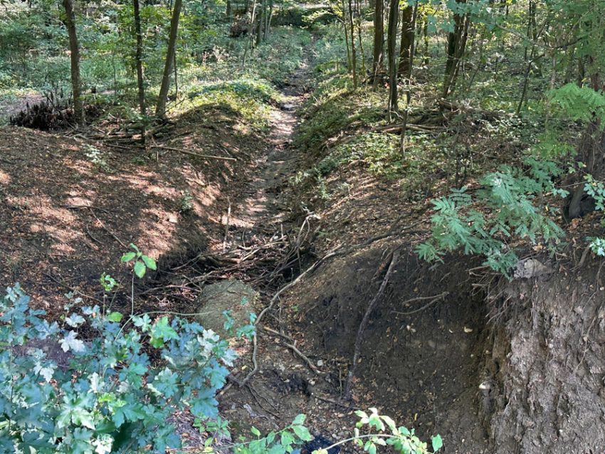 Sursă foto și video: Primăria Munciipiului Pitești.