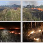 Incendii de vegetație în șapte comune din Argeș. Au ars peste 14.000 mp! 11 incendii vegetație Argeș