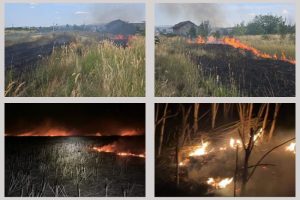 incendii vegetație Argeș