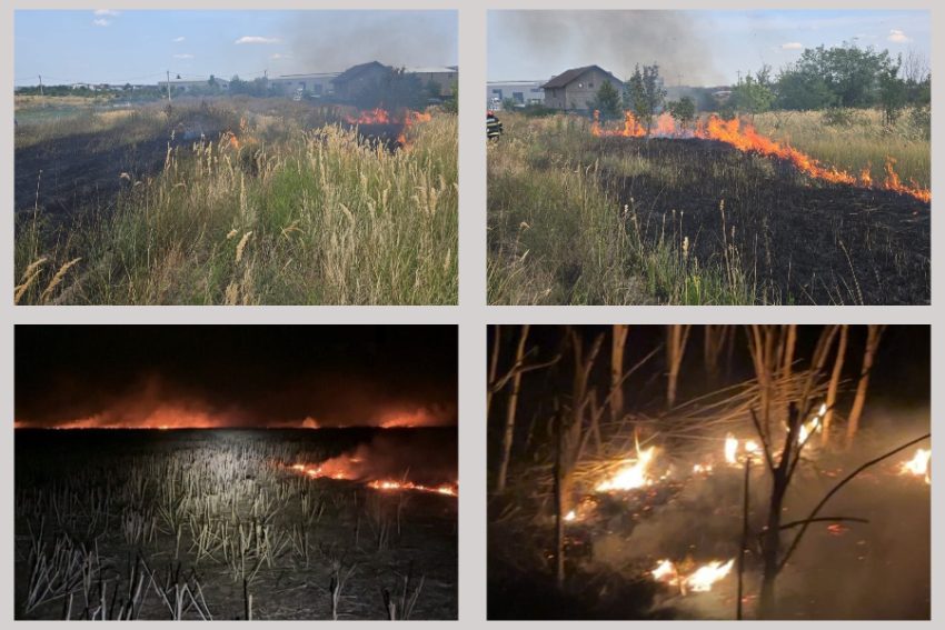 incendii vegetație Argeș incendii vegetație Argeș