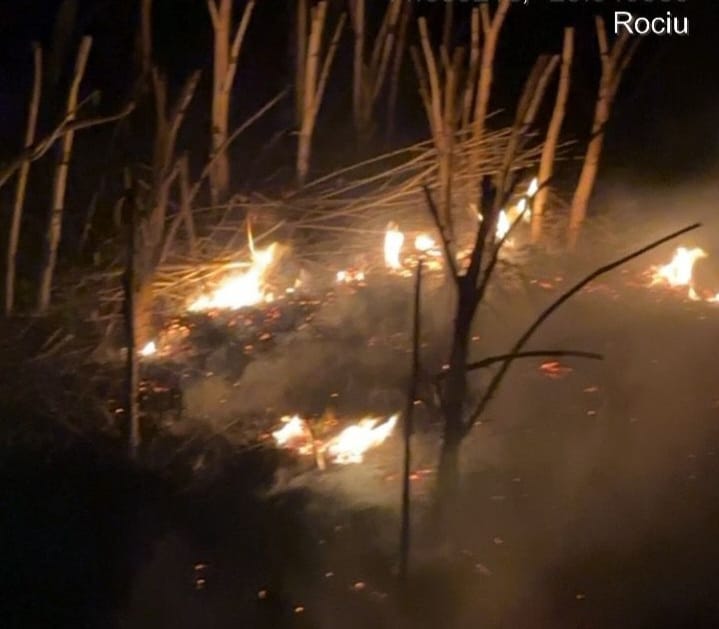 Incendii de vegetație în șapte comune din Argeș. Au ars peste 14.000 mp! 4 WhatsApp Image 2025 08 22 at 21.55.30 - Incendii de vegetație în șapte comune din Argeș. Au ars peste 14.000 mp!