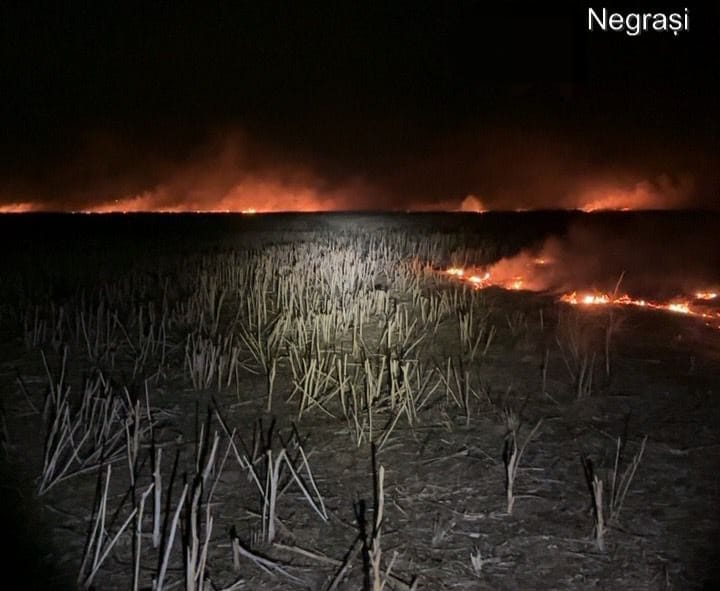 Incendii de vegetație în șapte comune din Argeș. Au ars peste 14.000 mp! 2 WhatsApp Image 2025 08 22 at 21.57.50 - Incendii de vegetație în șapte comune din Argeș. Au ars peste 14.000 mp!