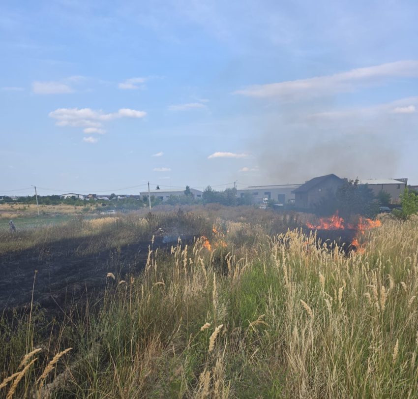 Incendii de vegetație în șapte comune din Argeș. Au ars peste 14.000 mp! 3 WhatsApp Image 2025 08 22 at 22.00.05 - Incendii de vegetație în șapte comune din Argeș. Au ars peste 14.000 mp!