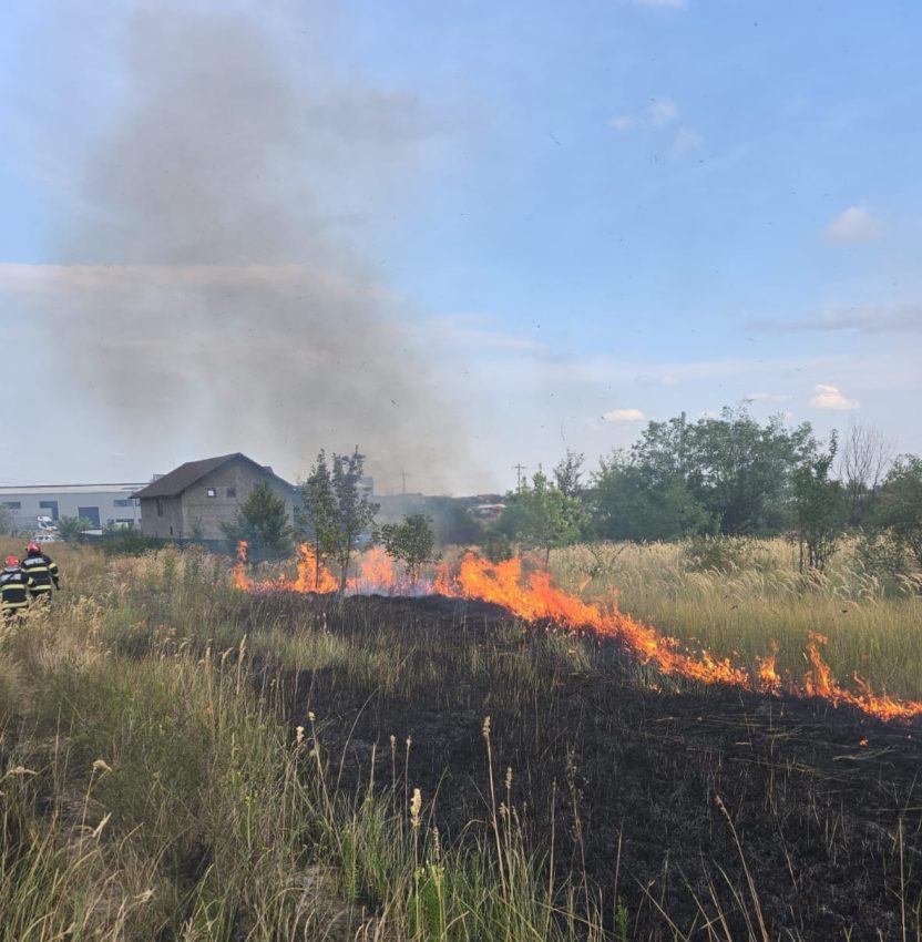 Incendii de vegetație în șapte comune din Argeș. Au ars peste 14.000 mp! 1 WhatsApp Image 2025 08 22 at 22.00.20 - Incendii de vegetație în șapte comune din Argeș. Au ars peste 14.000 mp!