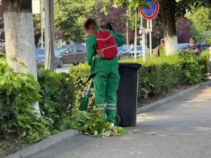 Sursă foto: FB Servicii Edilitare pentru Comunitate Mioveni.