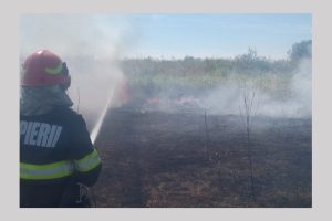 Untitled Project 6 - ARGEȘ. Peste 12 ha de teren distruse din cauza incendiilor de vegetație uscată