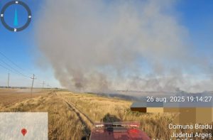 WhatsApp Image 2025 08 26 at 19.19.07 - (Video) Incendiu în comuna Bradu. Arde miriște pe o suprafață de aproximativ 5-6 ha
