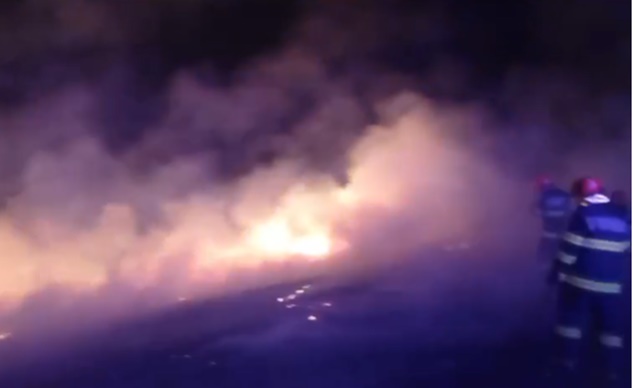 Incendii de vegetație