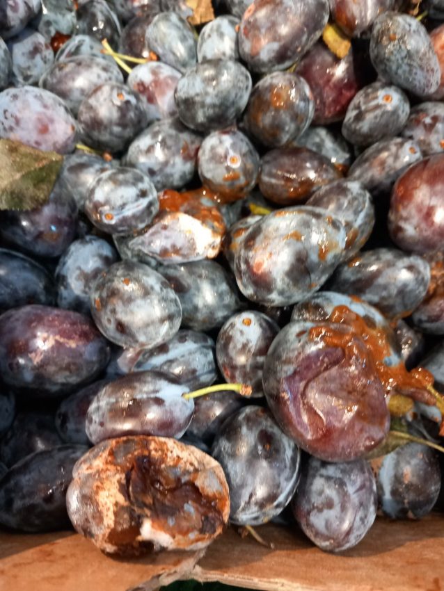 539205346 1234999911993939 2081845964192874958 n - Controale ANPC la nivel național. S-au dat amenzi de peste 3,5 milioane de lei